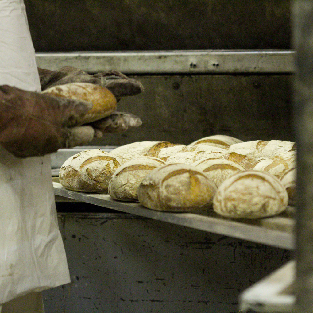 Bread going into an oven